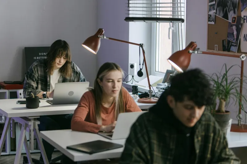 The Student Program That Became Corporate America's Favorite Loophole